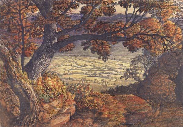 Samuel Palmer The Weald of Kent